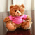 Mocha bear Pink Love 6" and 11"