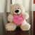Pink Love Sophie Teddy Bear 11"