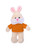 Plush Floppy Bunny With Personalized Tee 12”