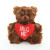 Valentine Plush Teddy Bear with Heart – Bear Stuffed Animal