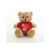 Valentine Plush Teddy Bear with Heart – Bear Stuffed Animal