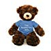 11" Brandon Chocolate Teddy Bear with Tee  - Stuffed Bear