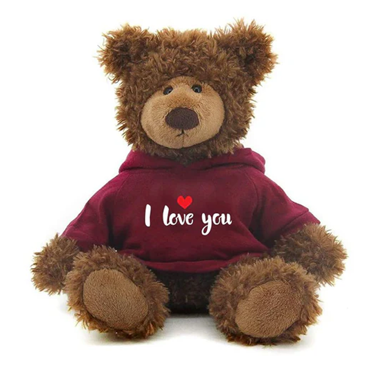 10" Valentine Chocolate Bears in "I Love You" Hoodie 