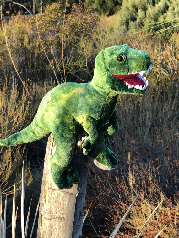 Dinosaur Trex, Standing