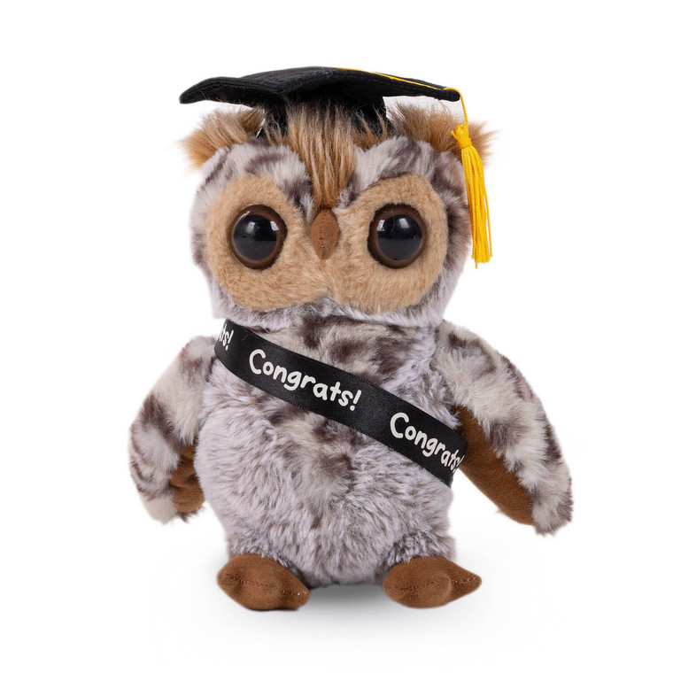 (Sample) Graduation Plush Owl with Cap & Sash 9"