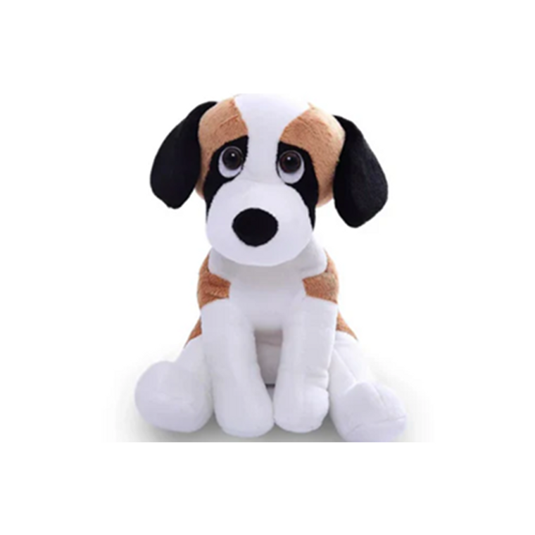 Pawpal Beagle