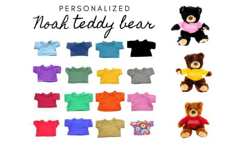 Customized Plush teddy bear Noah 12" with Tee