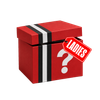 $100 Premium Mystery Box - Women's