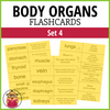 Body Organs Flash Cards - Set 4