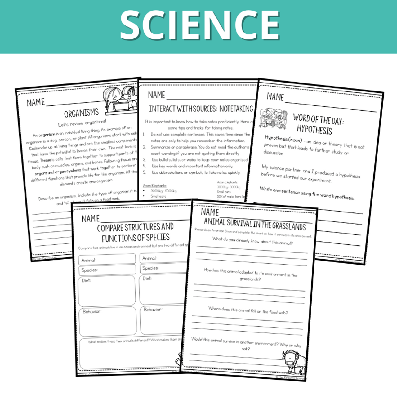 Fifth Grade Yearlong Curriculum | Math, Science, ELA All-in-One - Digital Copy