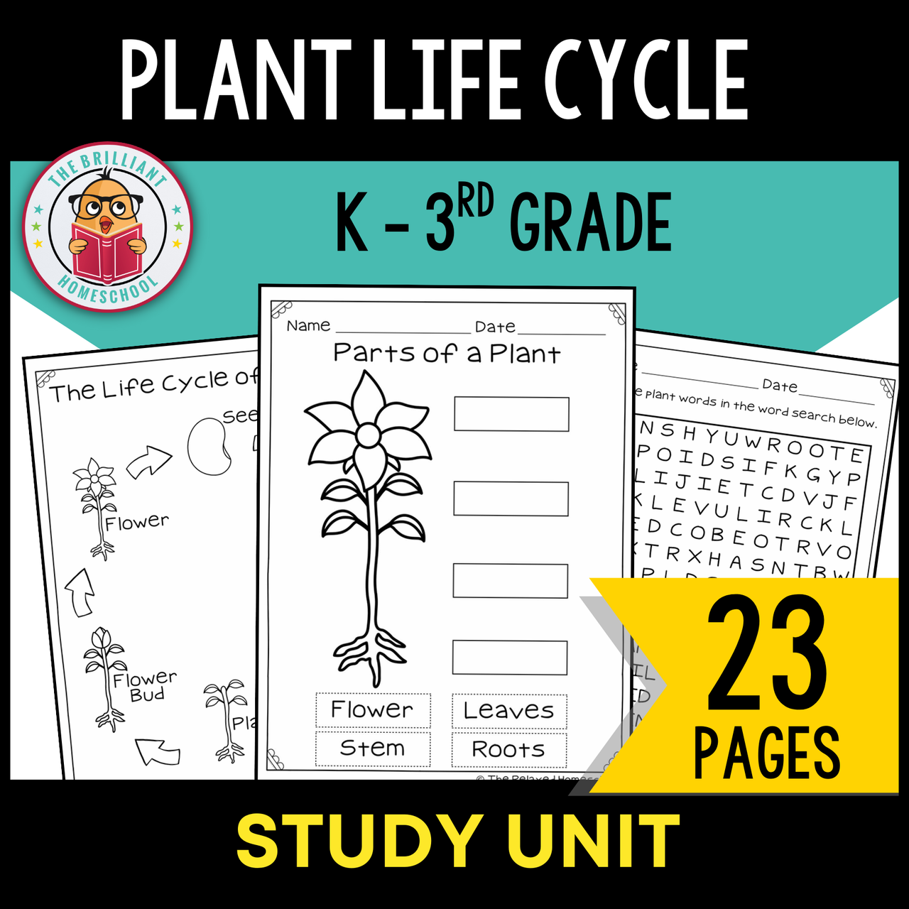 Plant Life Cycle Study Unit