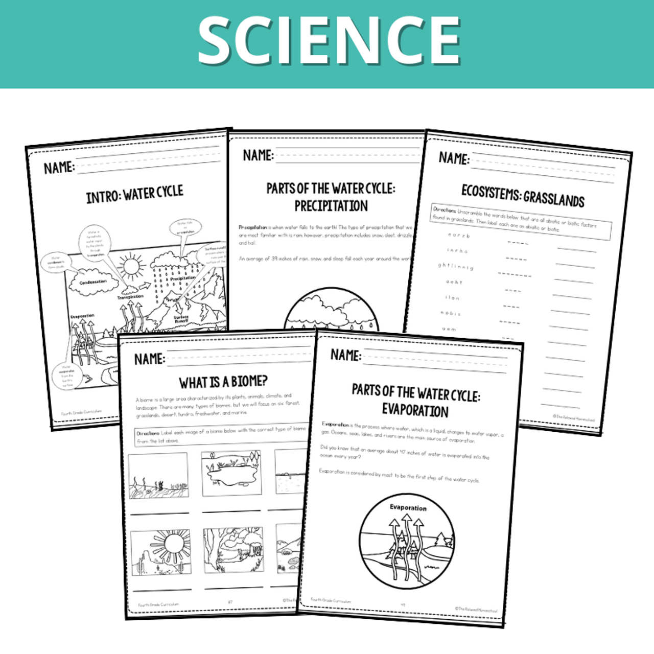 PRINTED Fourth Grade Curriculum