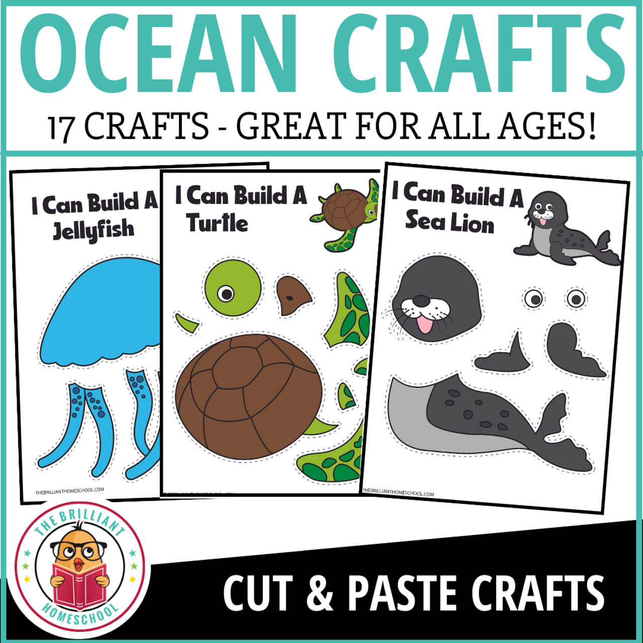 Ocean Craft Packet