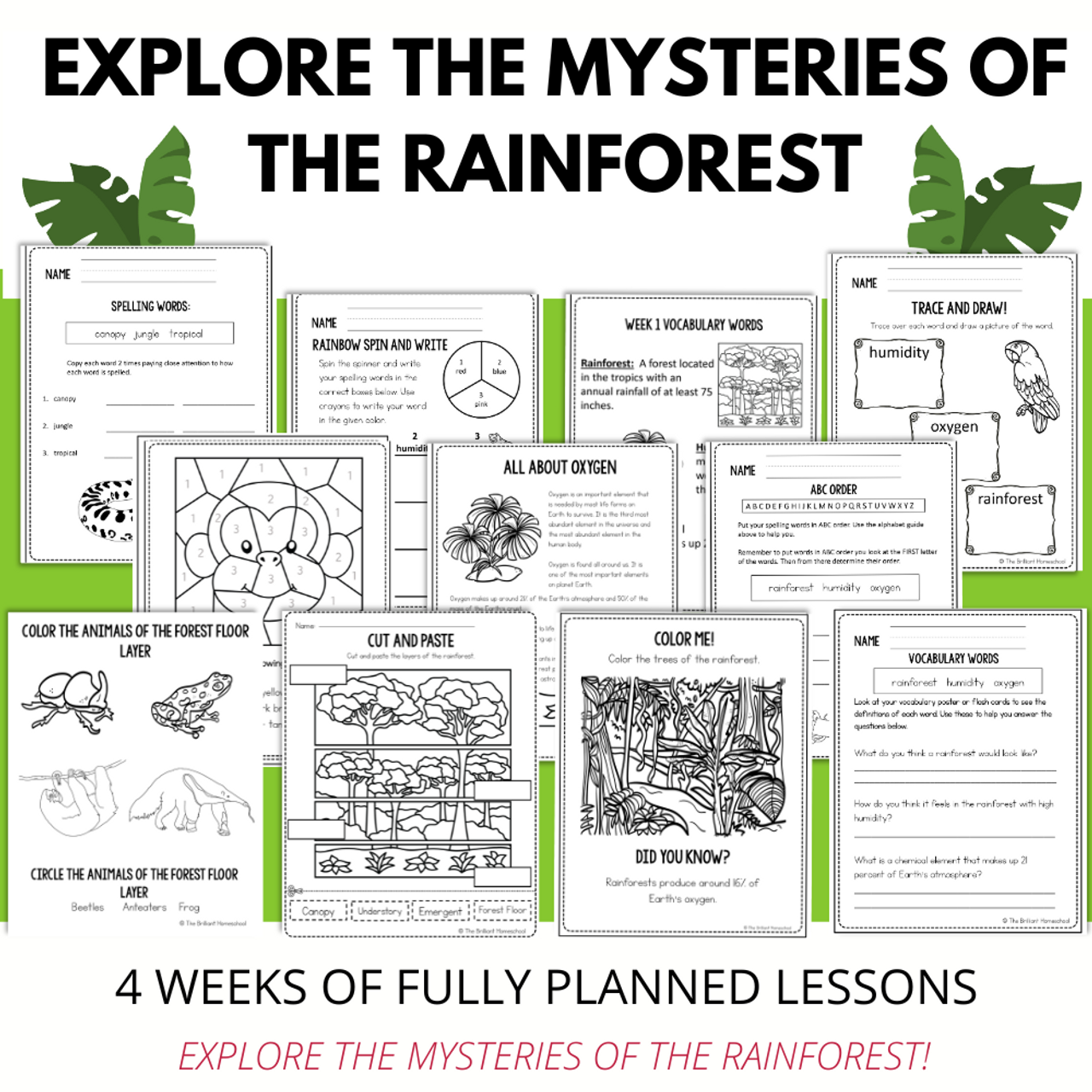 Exploring the Rainforest | 4-Week Rainforest Study Unit with Lessons