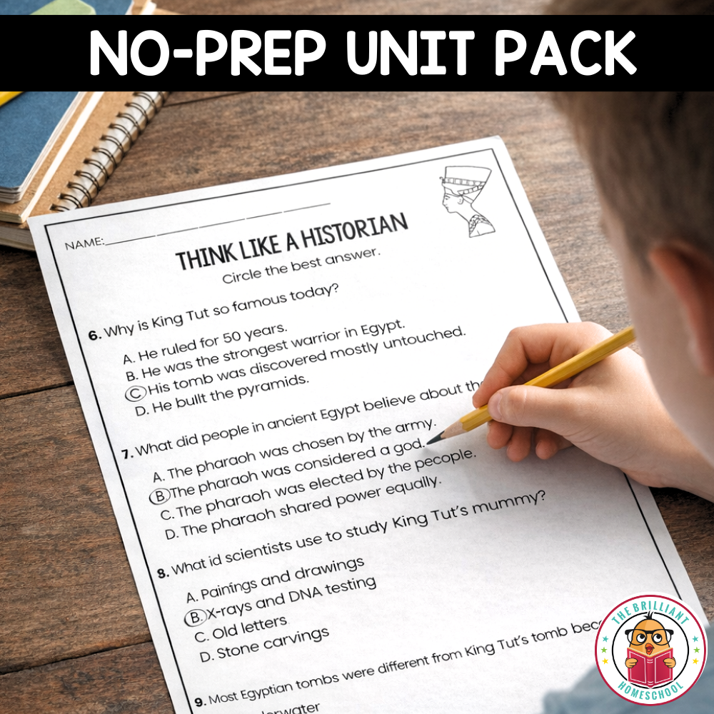 King Tut Reading Comprehension