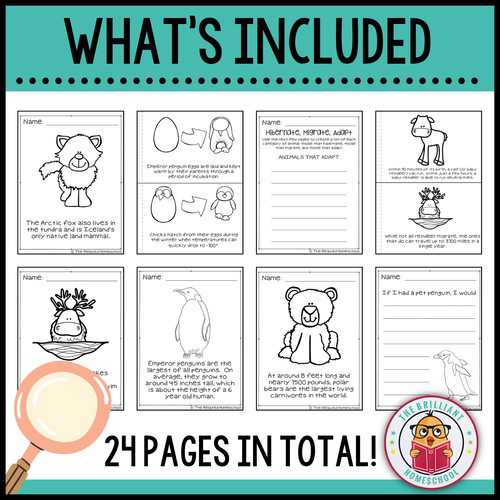 Winter Animals Study Unit