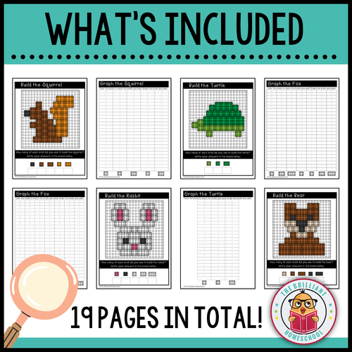Graphing and Data Activity - Building Blocks