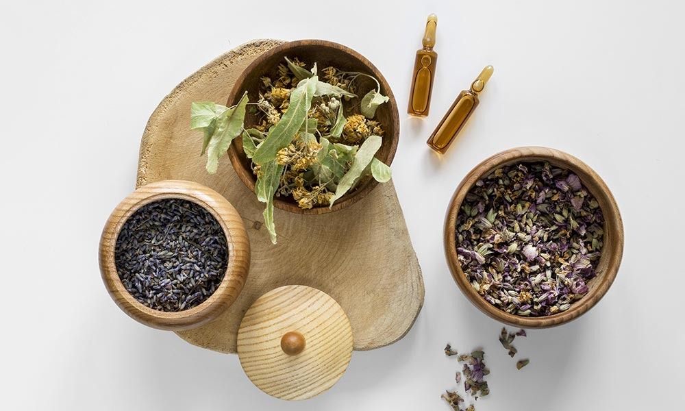 Farmacia Bertolín – Tratamientos homeopáticos personalizados para potenciar el bienestar de forma natural.