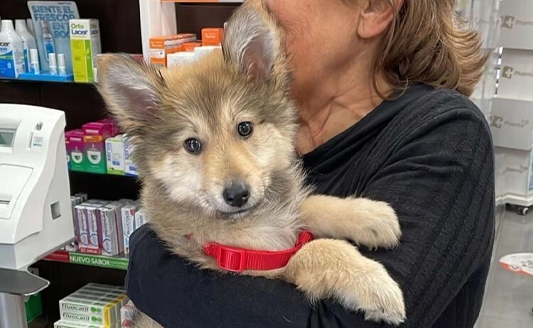 Farmacia Apoteca Natura, en Farmacia Fra, en A Coruña