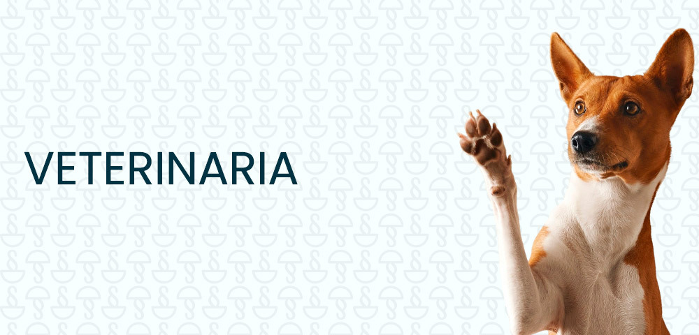 Veterinaria en Farmacia Bertolín