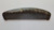Primitive Buffalo Horn Comb
