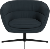 Armchairs & Occasional Chairs