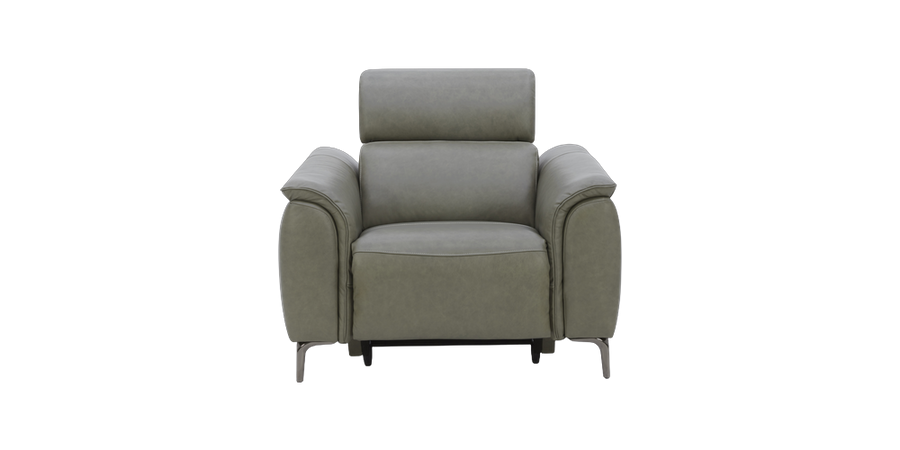 Davis_Power_Recliner_with_Telescopic_Headrest_in_Leather-1