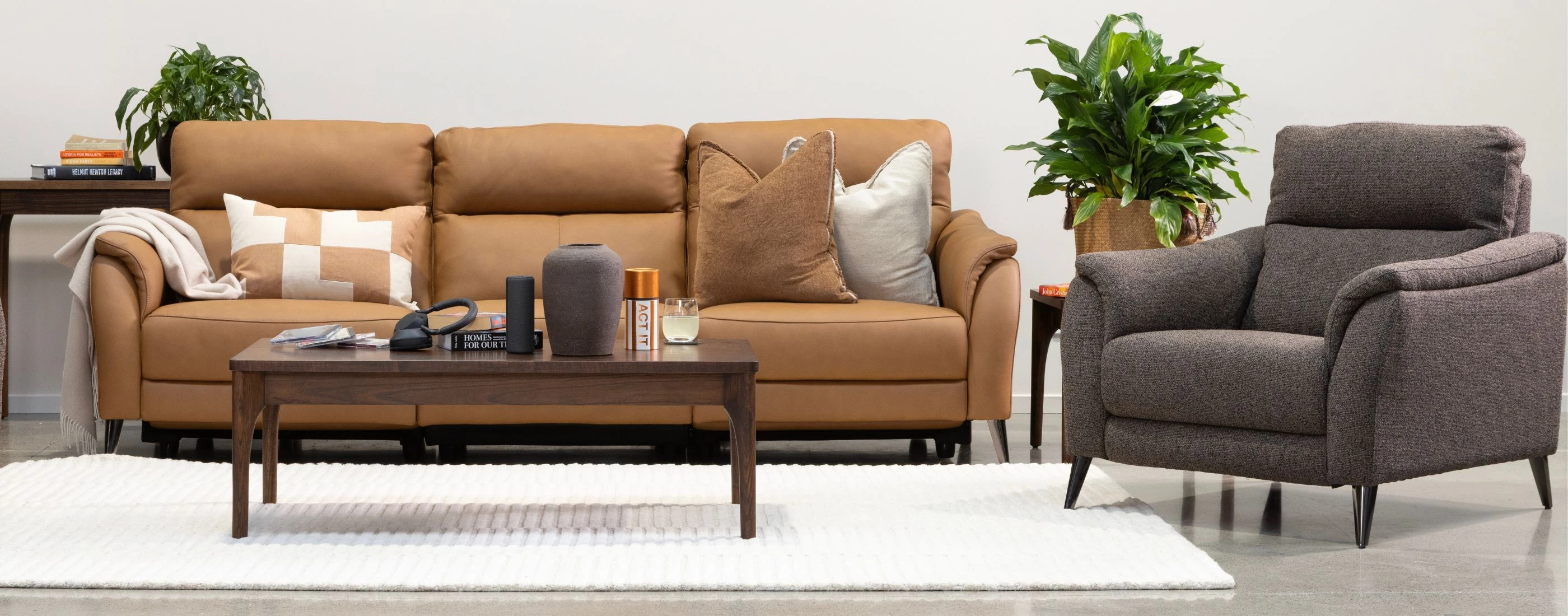 Homewares, Décor & Accessories