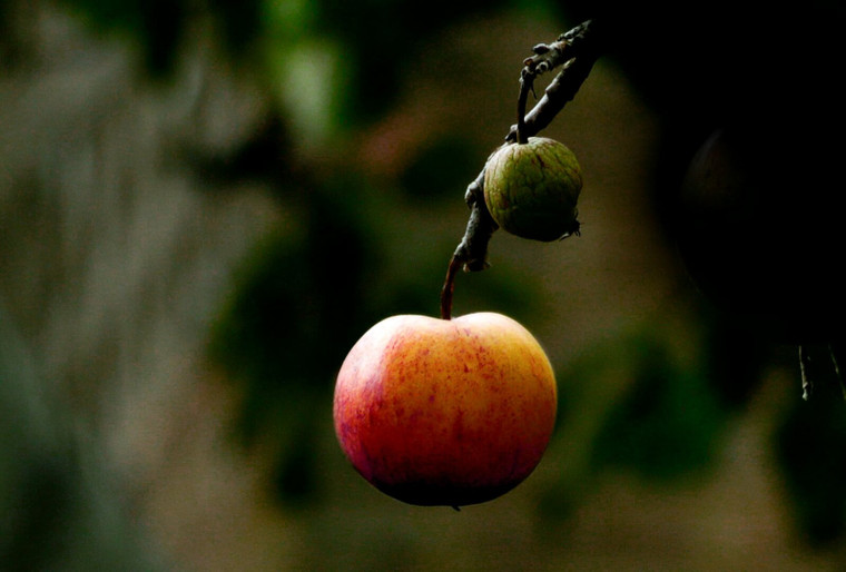Why Goodness Matters More Than Greatness