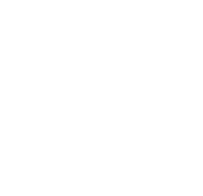 wps-facebook-logo