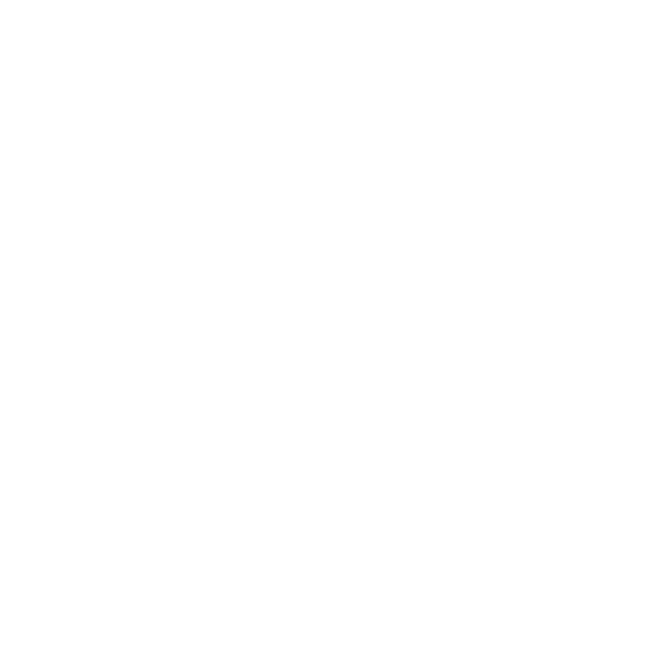 wps-instagram-logo