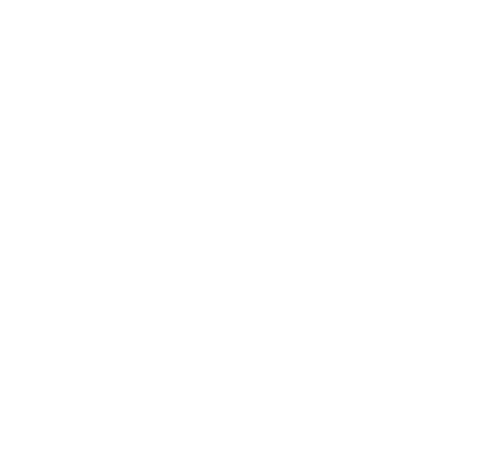 wps-youtube-logo