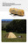 Lightweight Naturehike 2-person camping tent