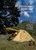 Naturehike trekking tent