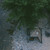Naturehike MASSIF 2-PERSON HOT TENT - 4 Season