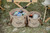 Naturehike Foldable Round Bucket