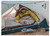 Snow Petrel SP700 Mummy Down Sleeping Bag | 4 Season | Lightweight