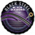 500B Series Electric Guitar Black Coated Nickel NPS8 500B Series Electric Guitar Black Coated Nickel NPS8
