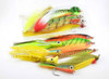 Peacock Bass Assortment