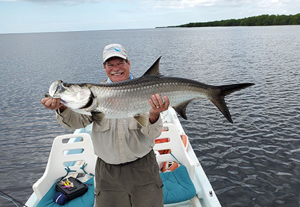 baby tarpon fish