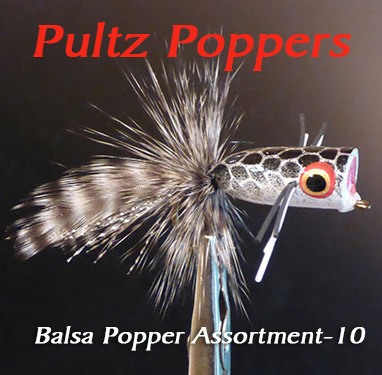 bass-pop400.jpg