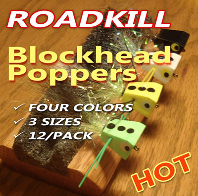 newroadkillplac400.jpg