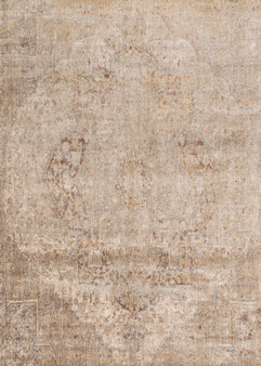 Loloi Anastasia Desert 18 x 18 Sample Rug