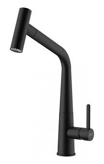 Franke Pull-Out Kitchen Faucet Taps Icon in Black