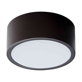 Peepers 5" Ceiling Mount Light