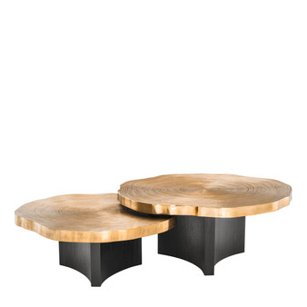 Coffee Table Thousand Oaks Brass Finish Set of 2