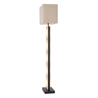 Floor Lamp Ortiz Bronze Highlight Finish