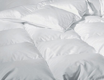 Sweet Dreams Winter Comforter Twin