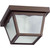 7" Outdoor Cage Ceiling Mount