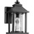 Transitional Crusoe 5" Lantern In Noir